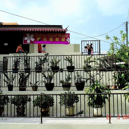 Sakura Guest House Cameron Highlands Kültér fotó